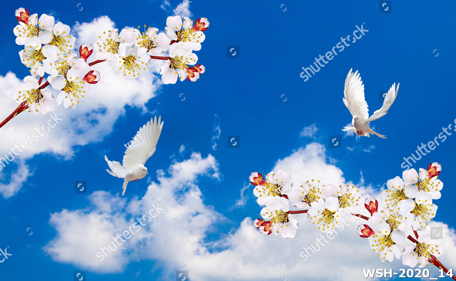 Dán trần trời xanh và hoa WSH-2020_14